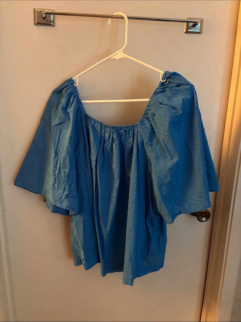 Paolita Blue Off-the-Shoulder Flutter-Sleeve Top